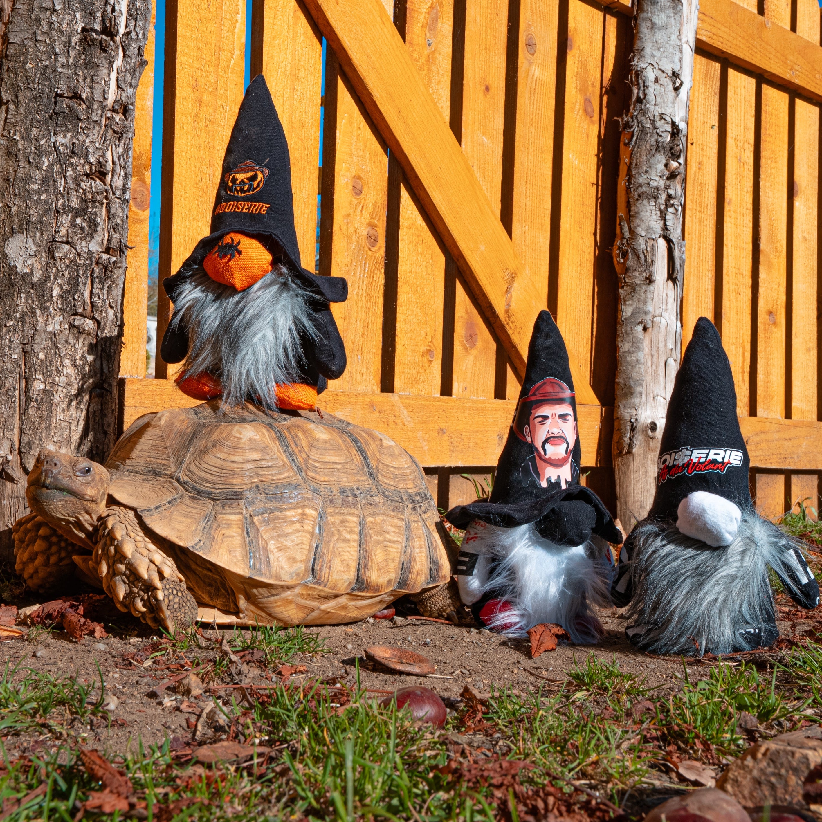 GNOMES BOISERIE EDITION LIMITEE