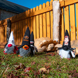 GNOMES BOISERIE EDITION LIMITEE
