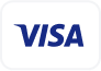 credit badge visa